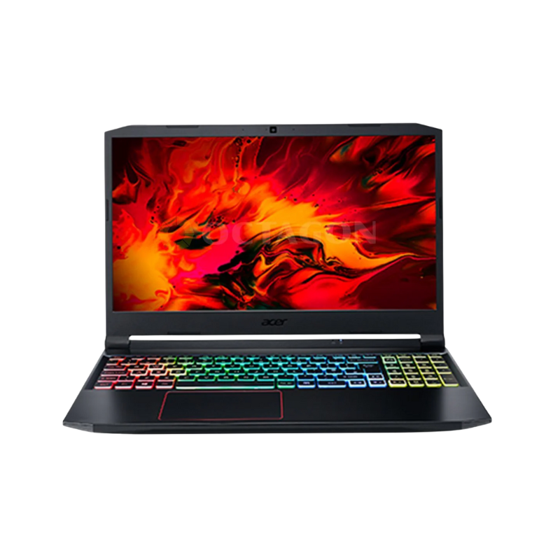 Acer Nitro 5